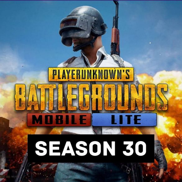 How To Get Winner Pass In PUBG Mobile Lite In November 2021?