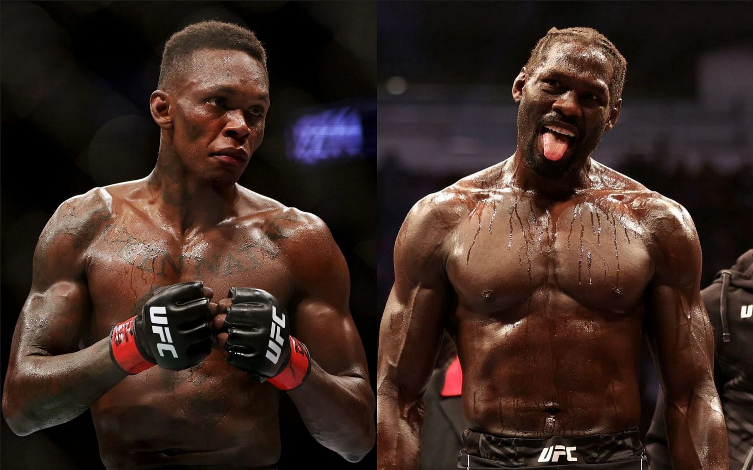 Adesanya Vs Cannonier