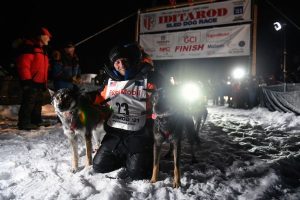 Musher penalized for not properly gutting moose