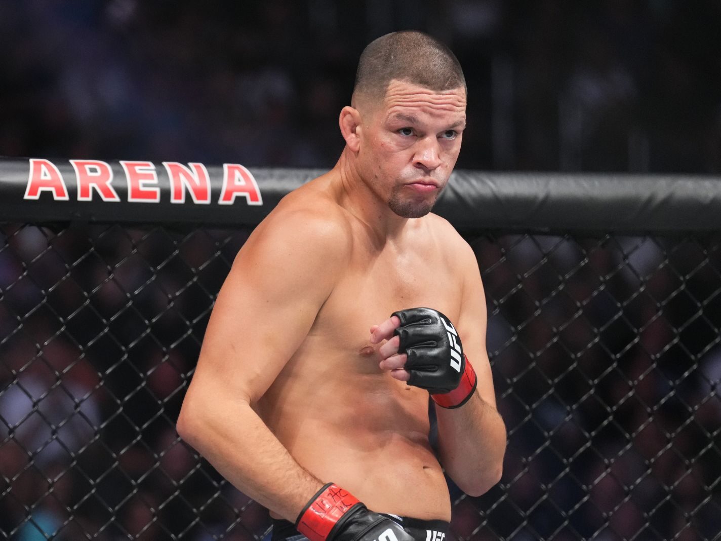 Nate Diaz