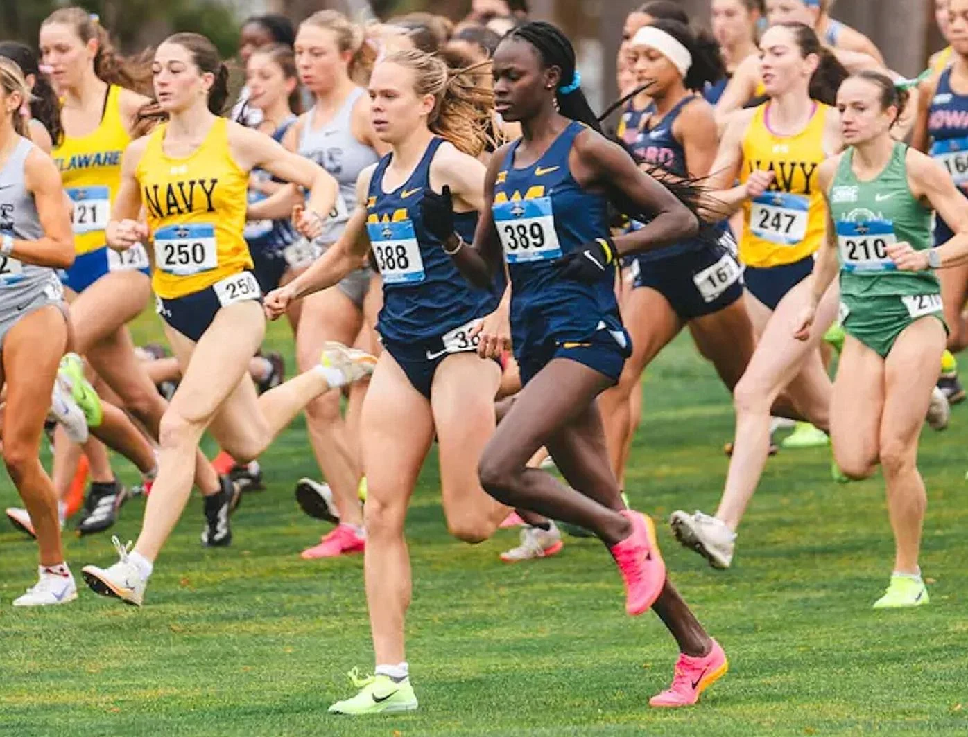 WVU Cross Country Earns Historic NCAA Runner-Up Finish, Highlights Strong Performances Across Sports