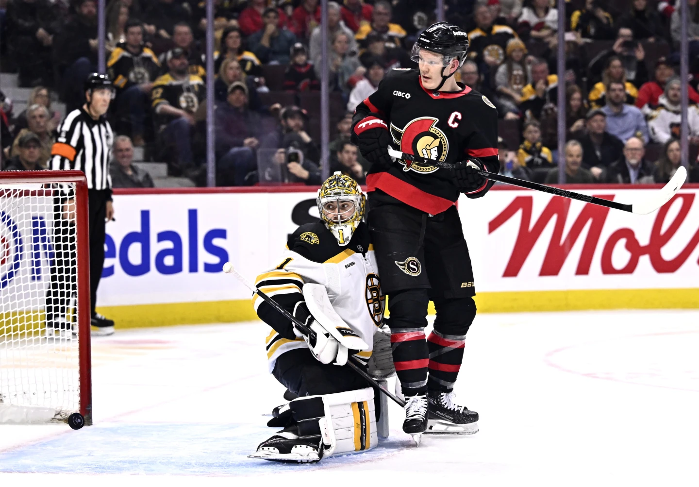 Ottawa Senators vs Boston Bruins