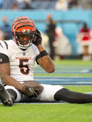 Tee Higgins