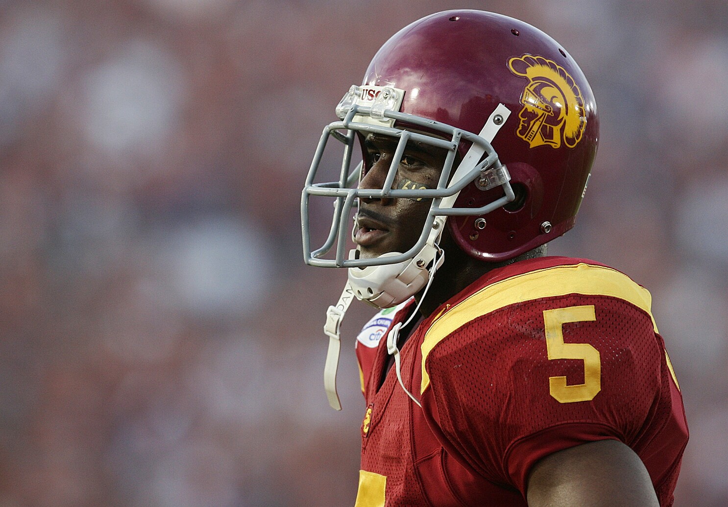 Reggie Bush