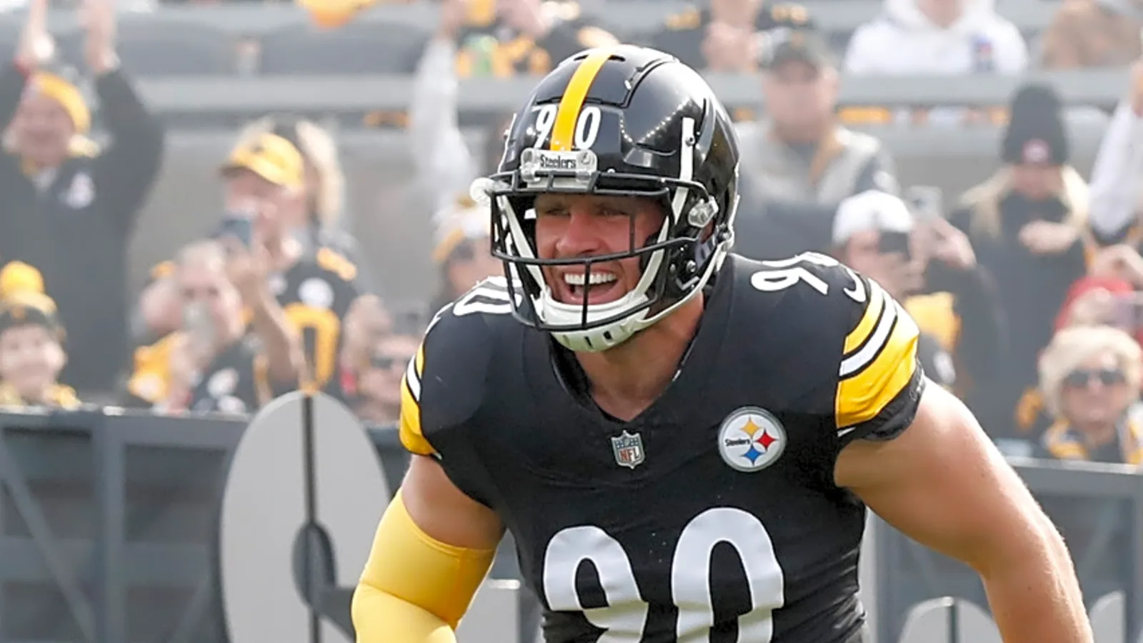 T.J. Watt