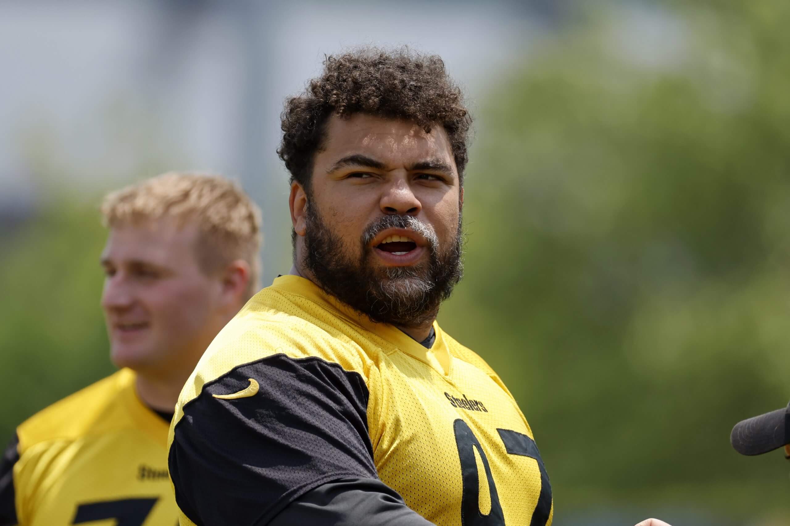 Cameron Heyward