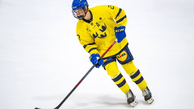McKenna and Stenberg Emerge as Top 2026 NHL Draft Prospects in Closely Contested Race